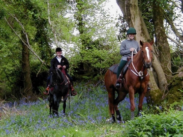 Riding through bluebells in the Blackdown Hills